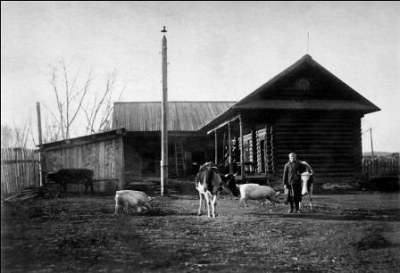 Скотный двор дедюхинской больницы. 1947 г.